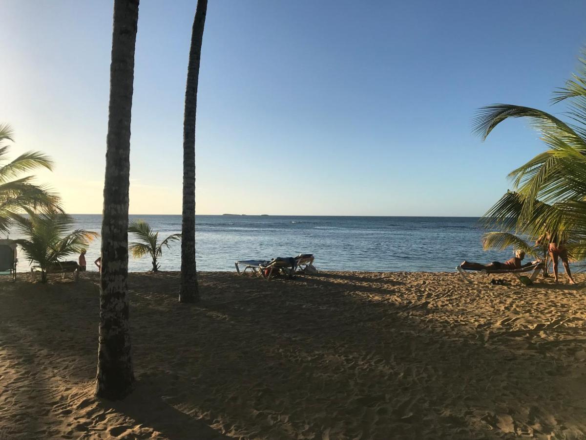 Cozy Oceanfront Villa With Direct Beach Access Лас-Терренас Екстер'єр фото