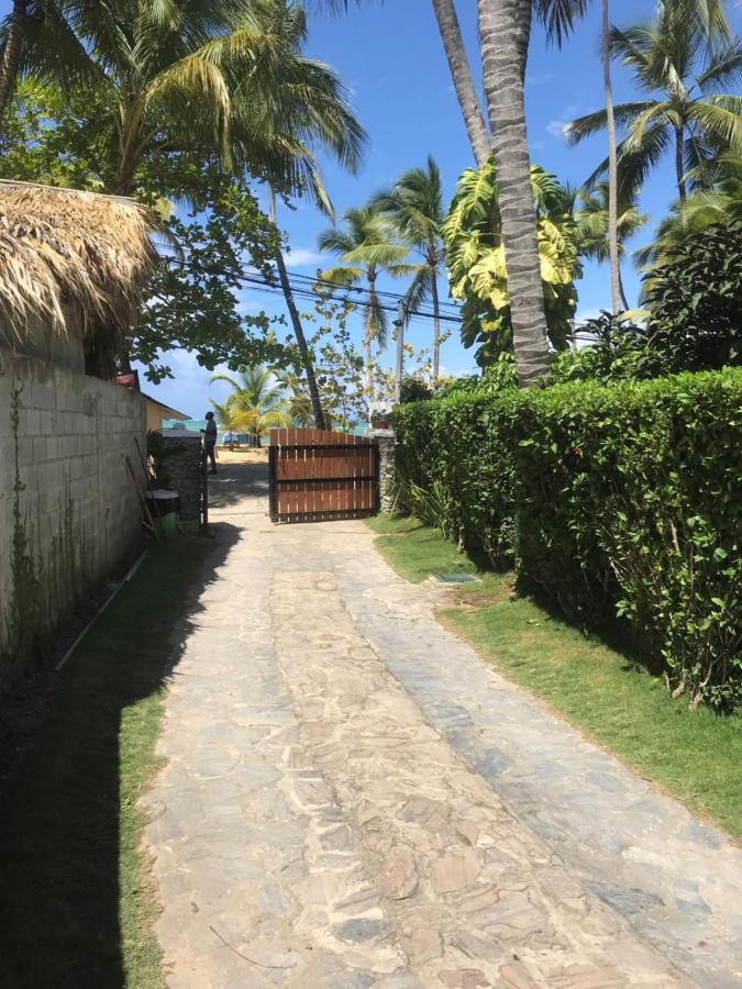 Cozy Oceanfront Villa With Direct Beach Access Лас-Терренас Екстер'єр фото